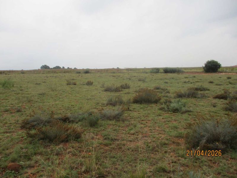 Enjoy the tranquility of Henley - Photo 5