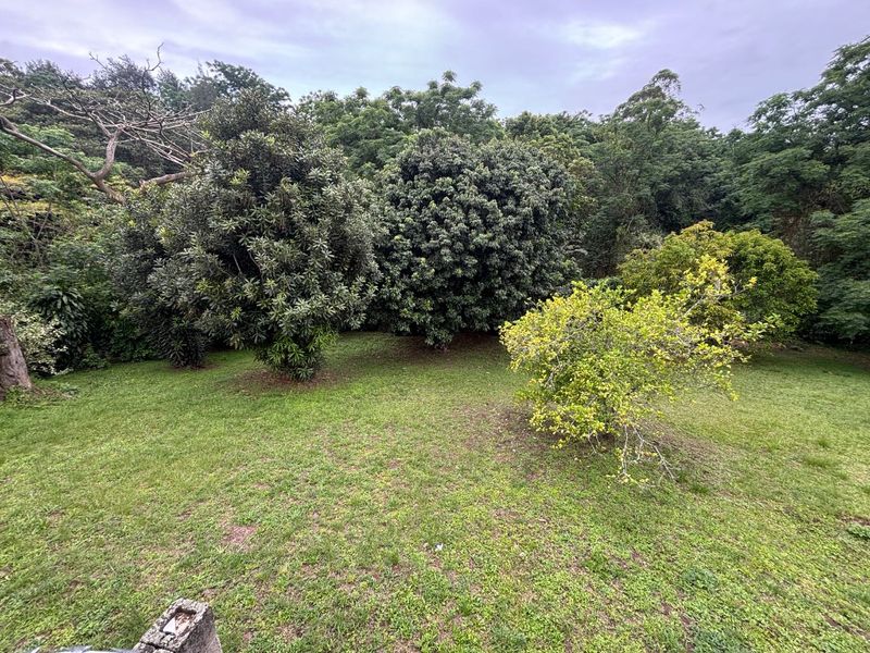 Your Dream Home Awaits! 3-Bedroom Property with Huge Yard in Pinelands up for Rent - Photo 5