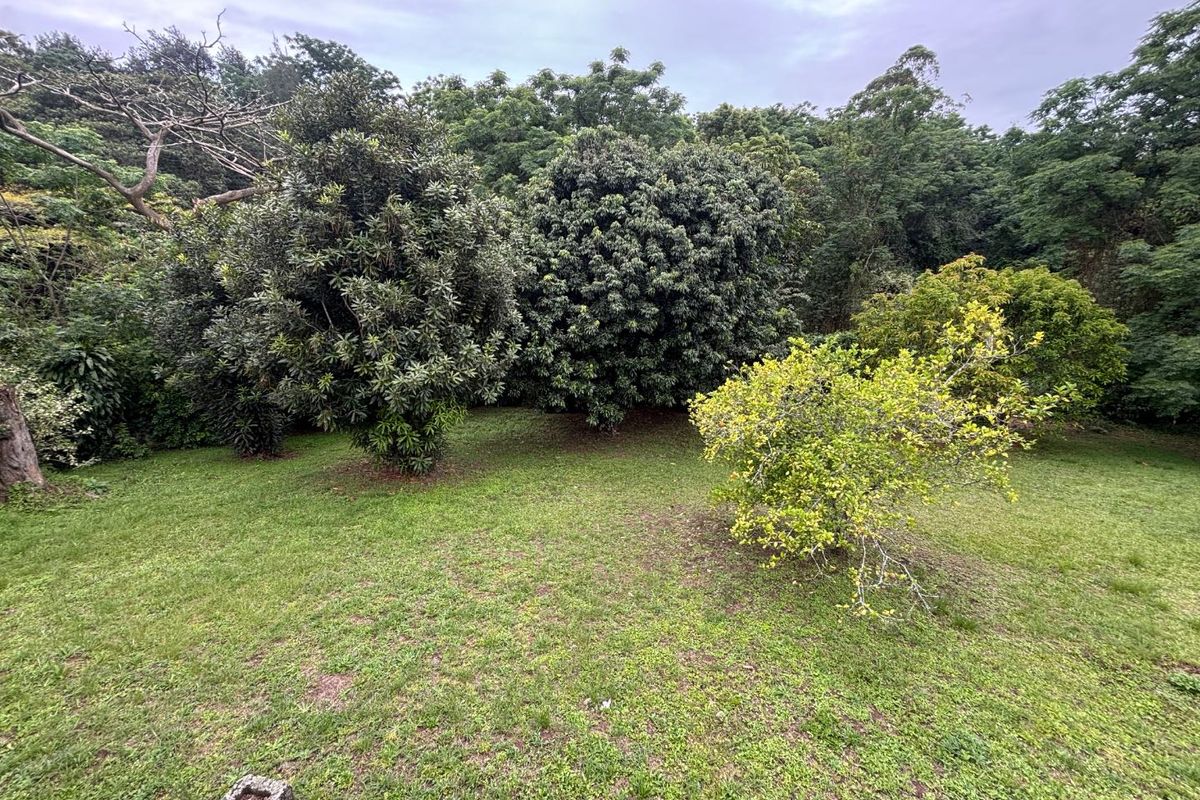 Your Dream Home Awaits! 3-Bedroom Property with Huge Yard in Pinelands up for Rent - Photo 5