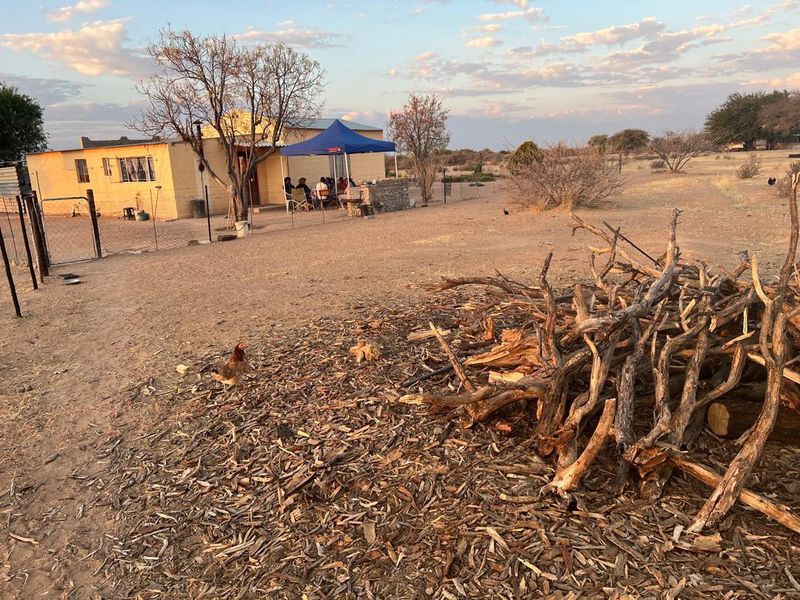 A Lifestyle Investment in the Heart of Nature - Photo 9