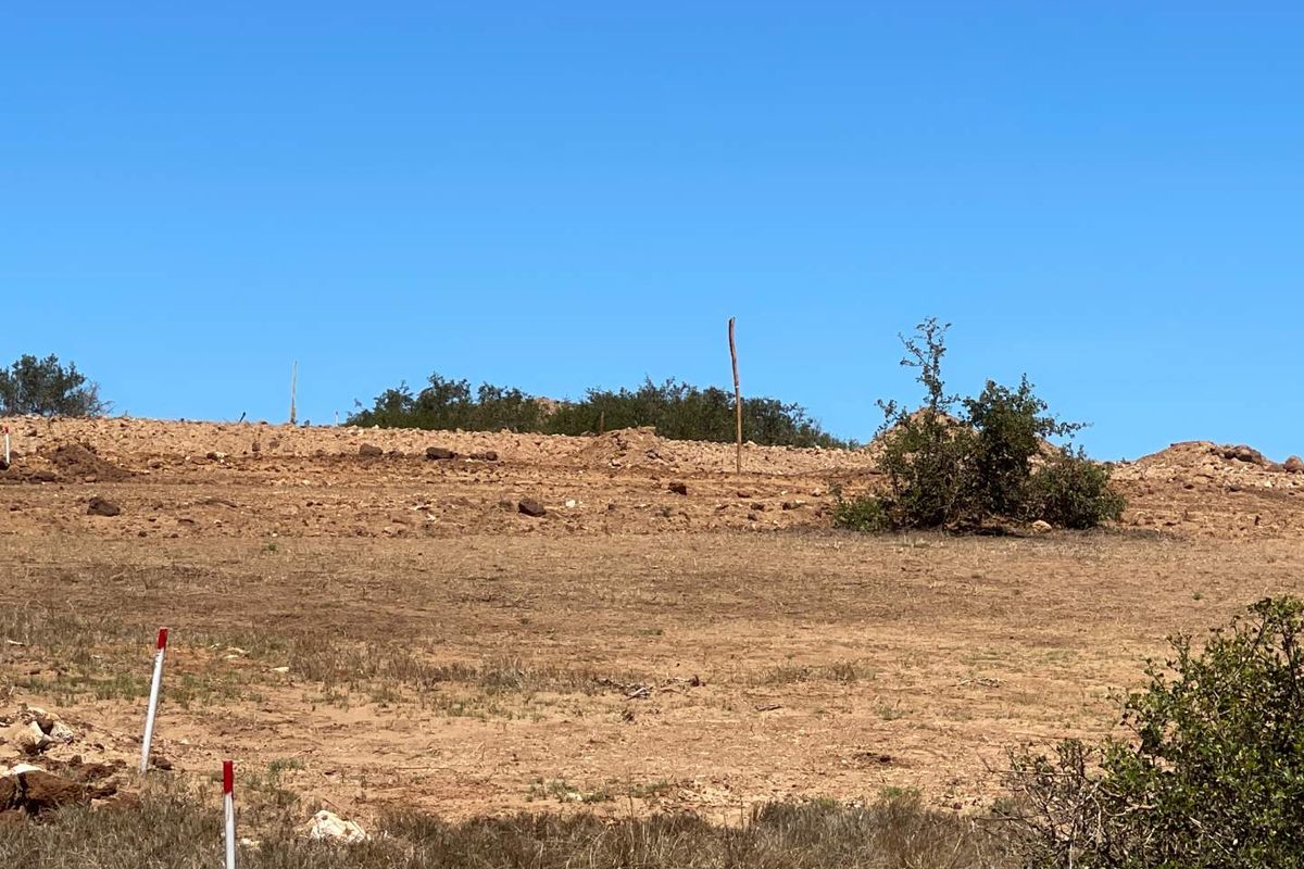 Exclusive Opportunity - 657m2 Vacant Stand For Sale in Hartland Lifestyle Estate - Photo 3