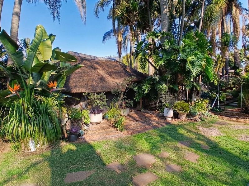 A lush, well-established garden featuring mature trees, a stone pathway, and a structure with a traditional thatched roof.