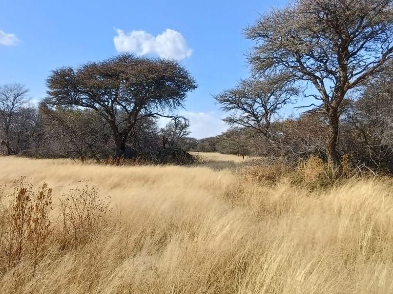 DEVELOPED SMALL GAME/SHEEP AND CATTLE FARM. CHALETS/REASTAURANT - Photo 6