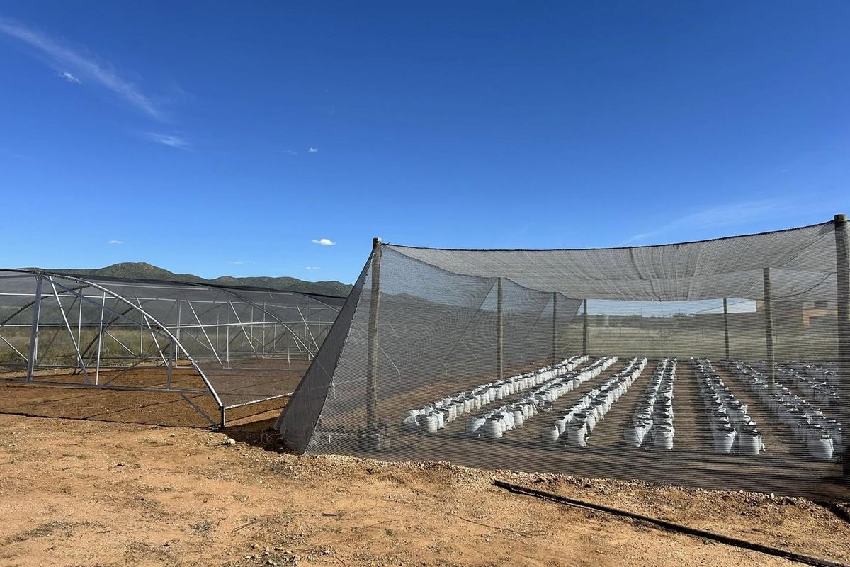 Welcome to a unique smallholding situated approximately 36 km east of Windhoek - Photo 3