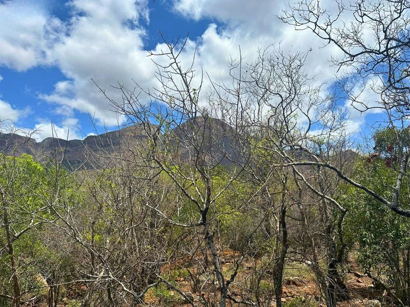 Elevated Stand with Views in Canyon Game Reserve. - Photo 2