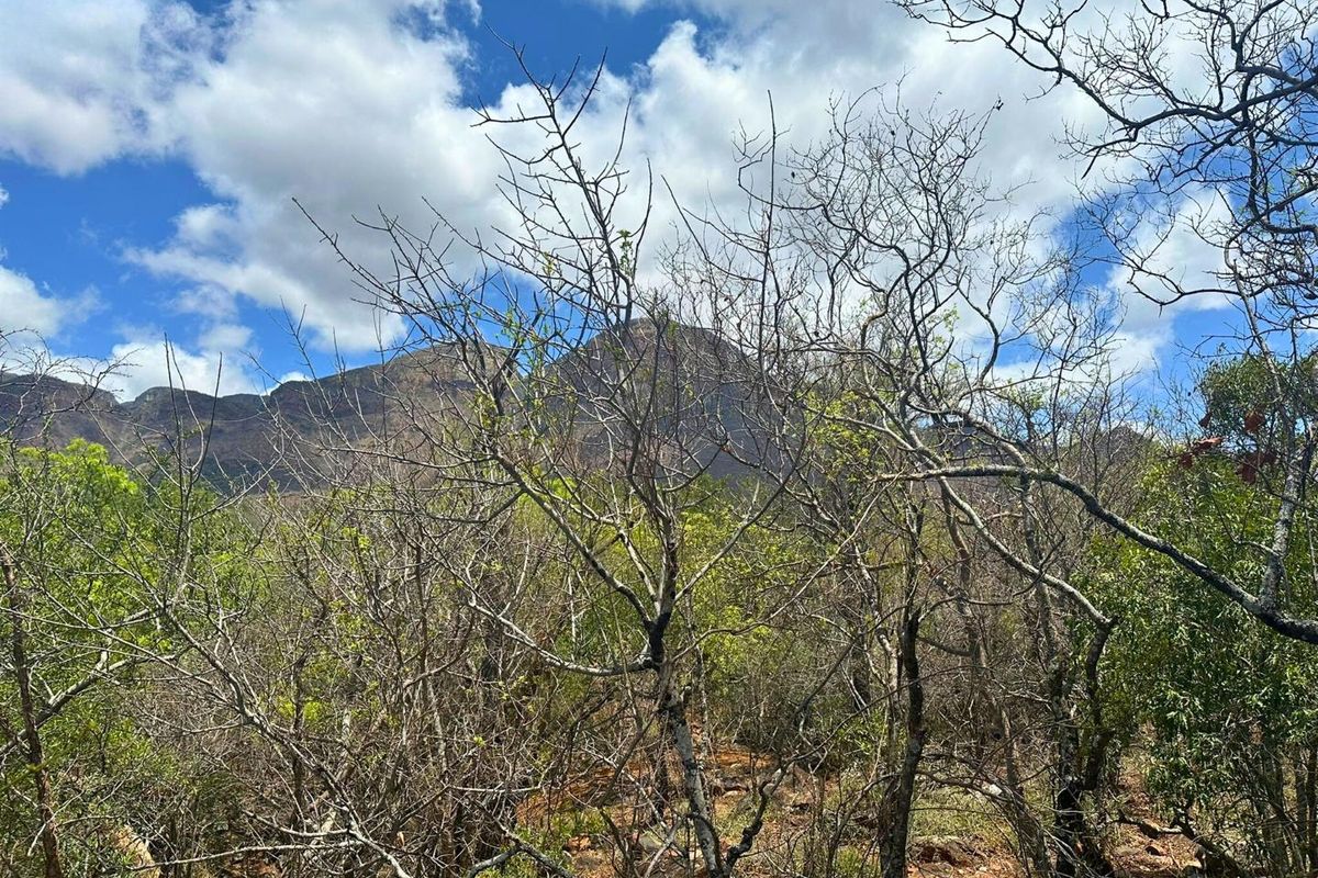 Elevated Stand with Views in Canyon Game Reserve. - Photo 2