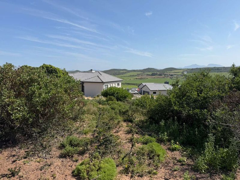 A view of the vacant residential land featuring natural vegetation and a sloped landscape with surrounding neighborhood homes in the distance.