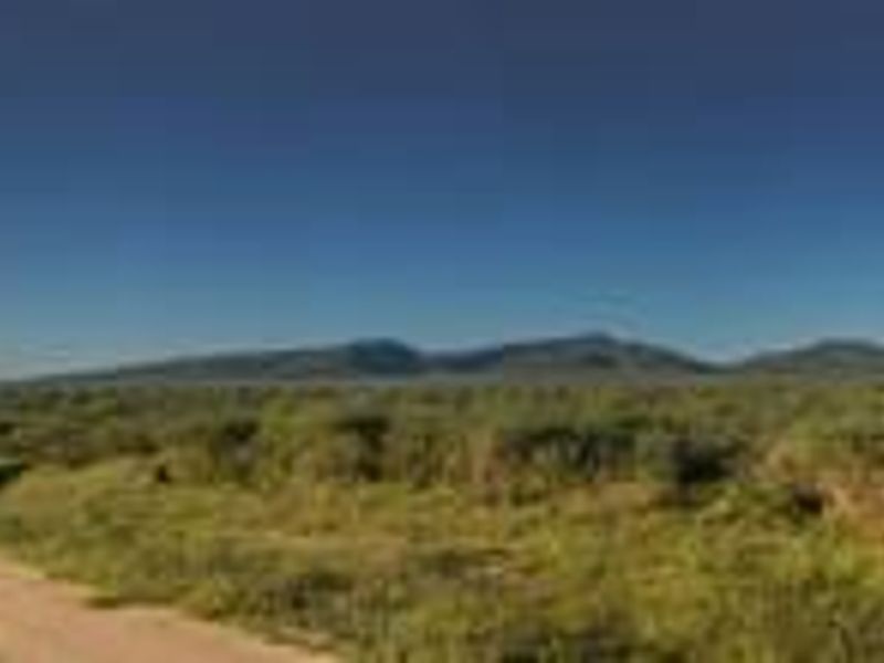 PROPERTY IN AREA OF OTJIWARONGO FOR SALE - Photo 2