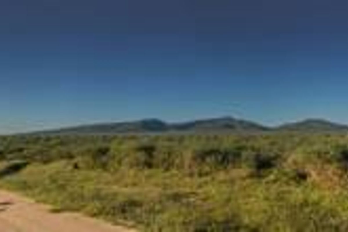 PROPERTY IN AREA OF OTJIWARONGO FOR SALE - Photo 2