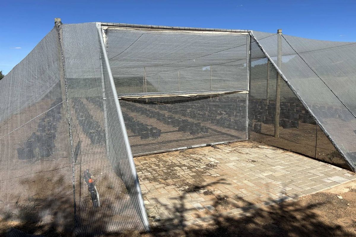 Agricultural plot- Ondekaremba Estate - Photo 3