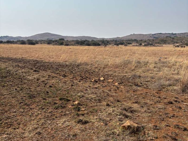 UNDEVELOPED FARM FOR SALE - Photo 3