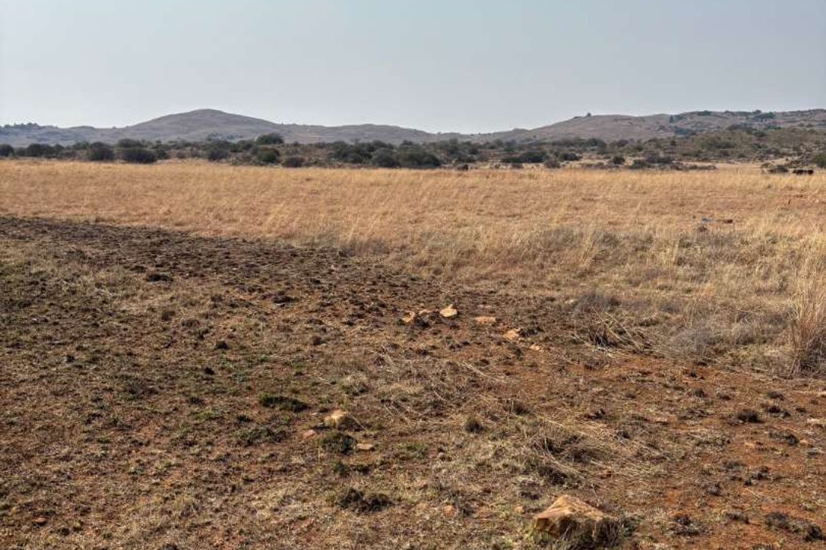 UNDEVELOPED FARM FOR SALE - Photo 3