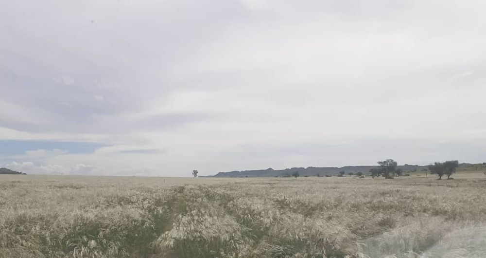 View of the field after the rain. 