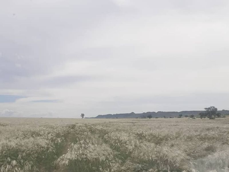 FOR SALE- FARM IN KEETMANSHOOP, NAMIBIA - Photo 5