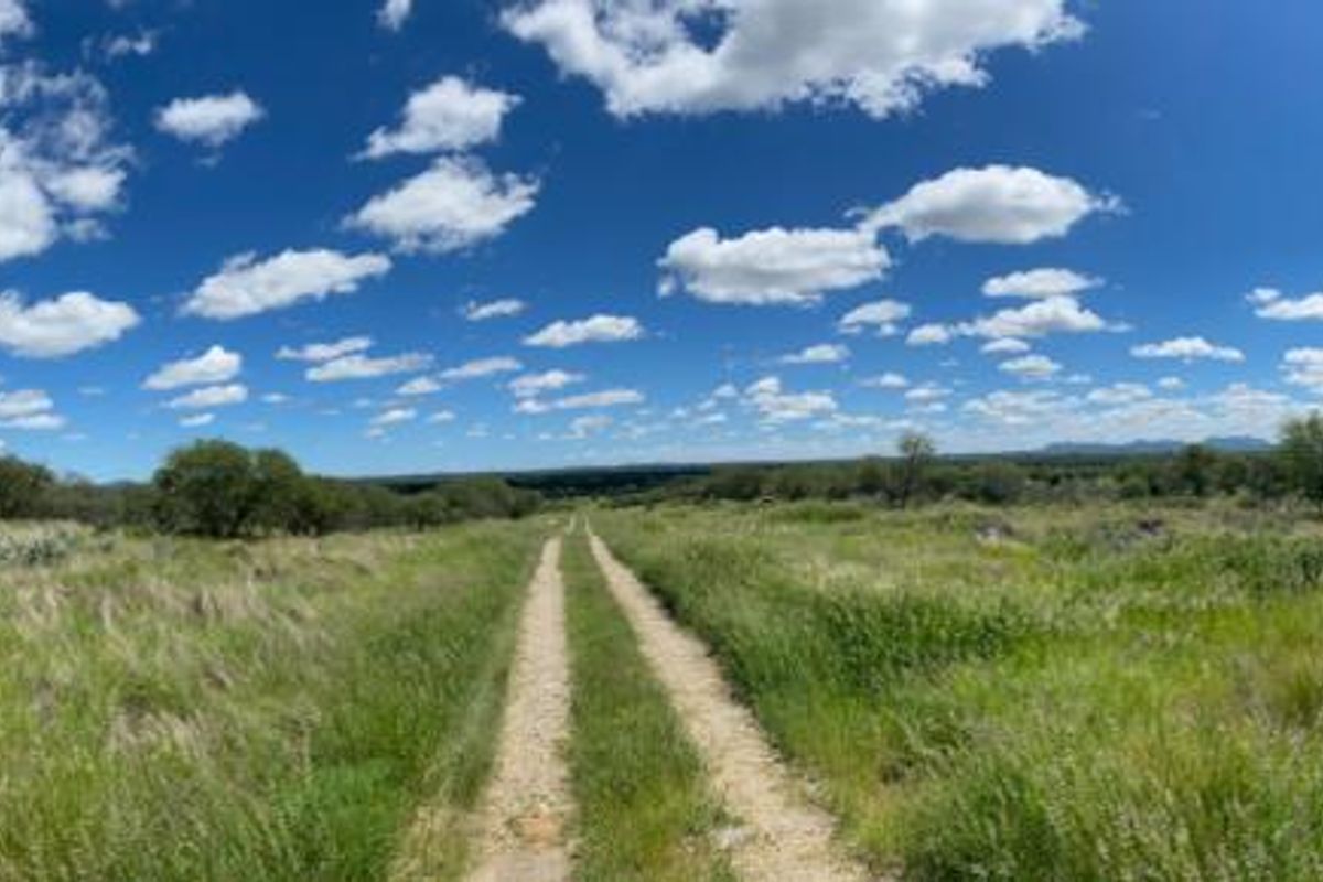 Panoramic view of the expansive natural landscape and open veld on the small holding, featuring a central dirt access track.