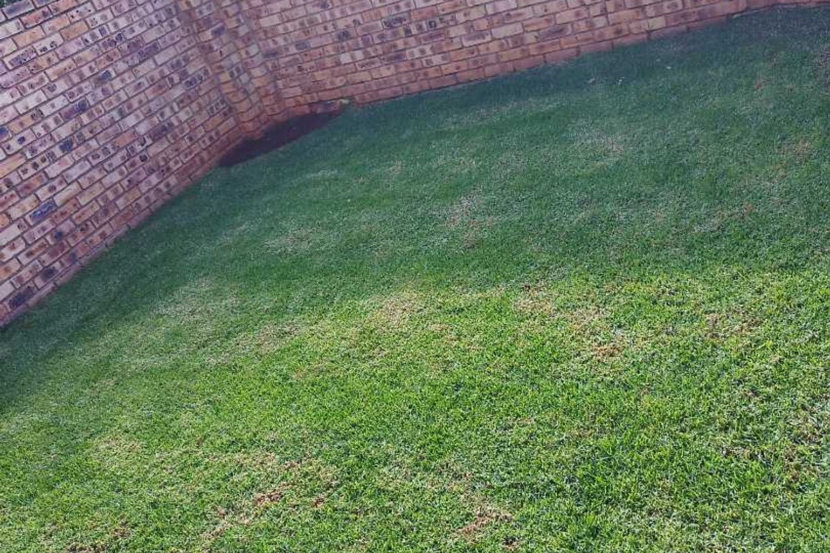 A private garden area featuring a well-maintained lawn enclosed by a sturdy face-brick boundary wall.