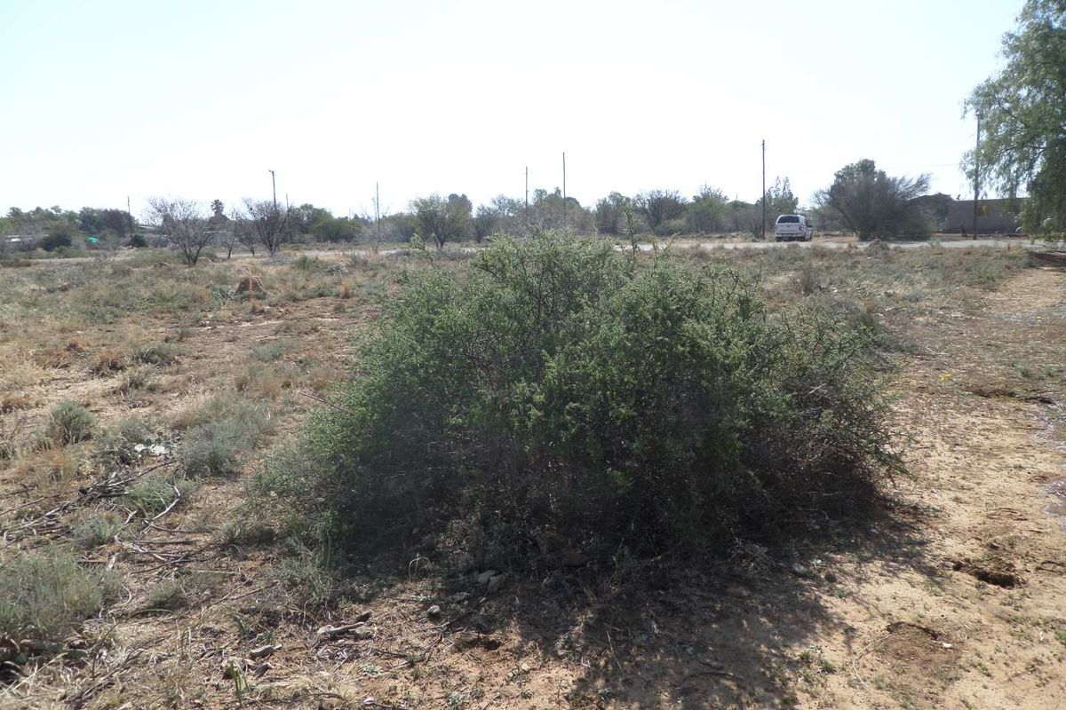 Craving Space - Photo 5