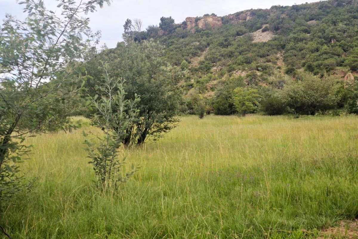 **Build Your Dream Home on this Stunning Vacant Land** - Photo 4