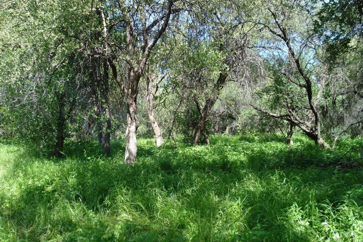 Omaruru Small Holding FOR SALE - Photo 3