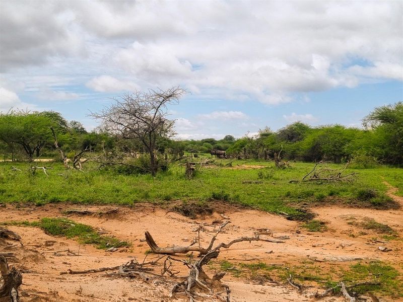 Well-Located, Riverfront Stand in Moditlo Wildlife Estate - Photo 6