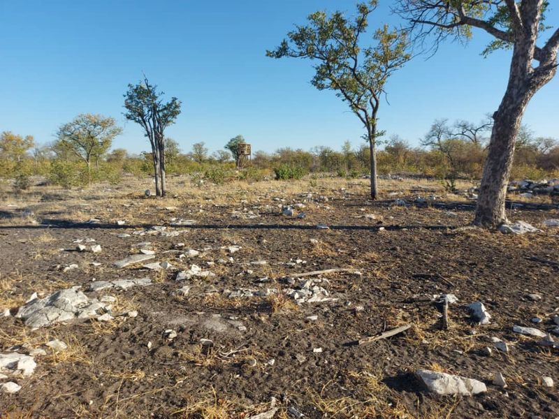 FOR SALE- FARM IN THE TSUMEB/ ETOSHA AREA, NAMIBIA - Photo 3