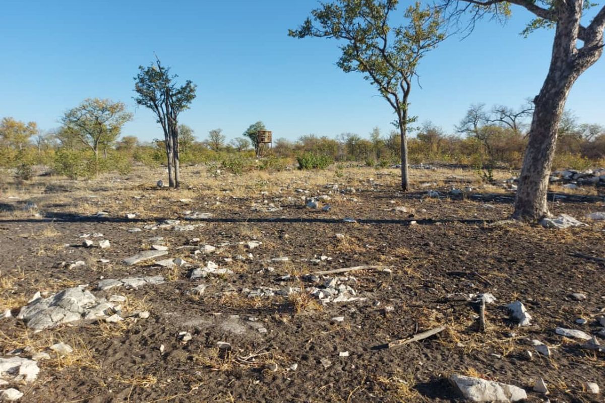 FOR SALE- FARM IN THE TSUMEB/ ETOSHA AREA, NAMIBIA - Photo 3