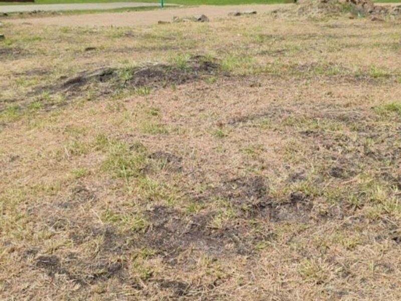 stand for sale. - Photo 5