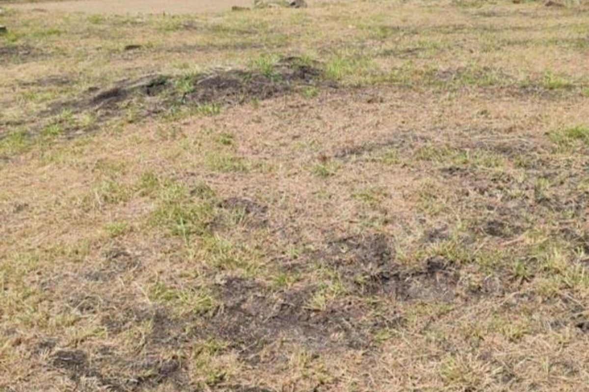 stand for sale. - Photo 5