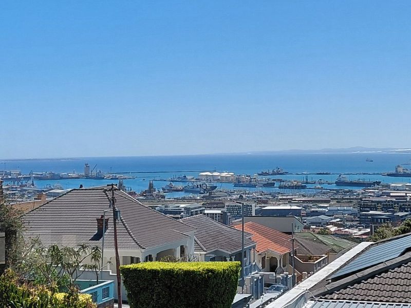 An elevated view overlooking the surrounding neighborhood and the harbor, showcasing the coastal landscape and urban infrastructure.