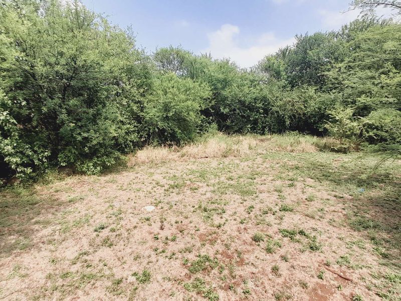 "Ultimate Privacy: Cul-de-Sac Gem in Birdwood Estate!" - Photo 9