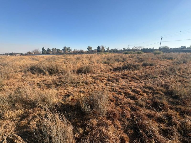 A wide-angle view of a vacant residential plot featuring natural dry vegetation and open space.