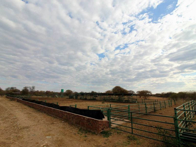 951ha Prime Wildlife, Cattle & Farming Farm for Sale – Limpopo Bushveld - Photo 2