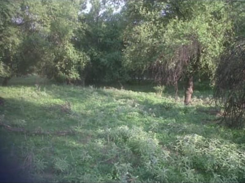 Investment opportunity alert! - Photo 2