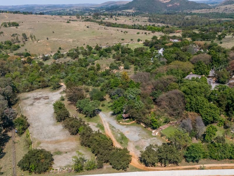 An aerial view of a large agricultural plot featuring mature trees, natural vegetation, and an unpaved access road.