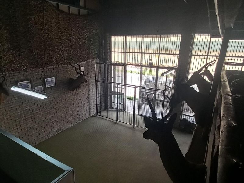 Commercial Business Property For Sale - Photo 4