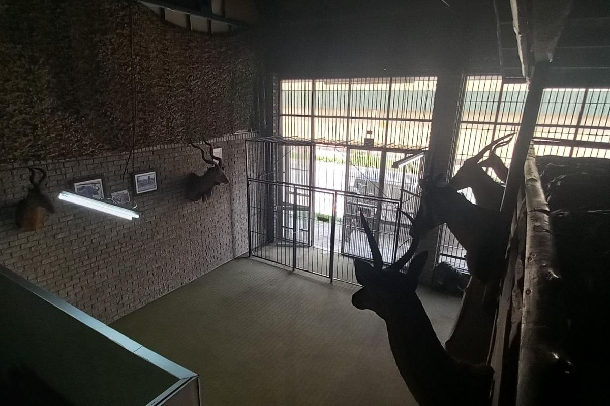 Commercial Business Property For Sale - Photo 4