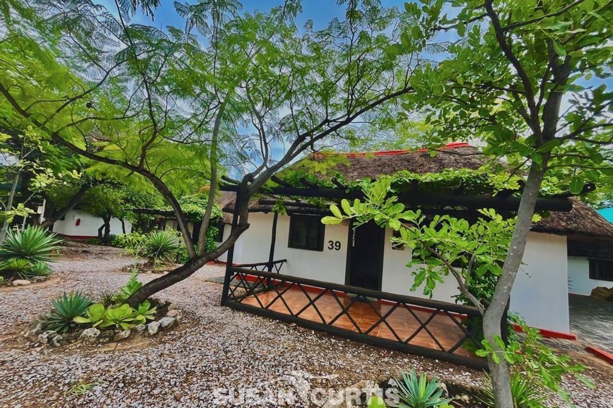 Gem in the Heart of the Kavango - Photo 4