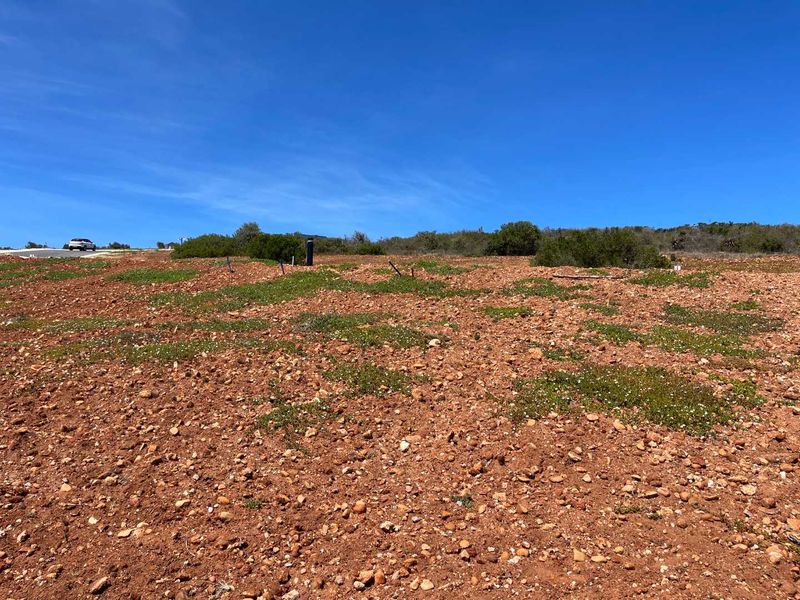 788m2 Vacant Stand For Sale in Hartland Lifestyle Estate - Exclusive Opportunity - Photo 8