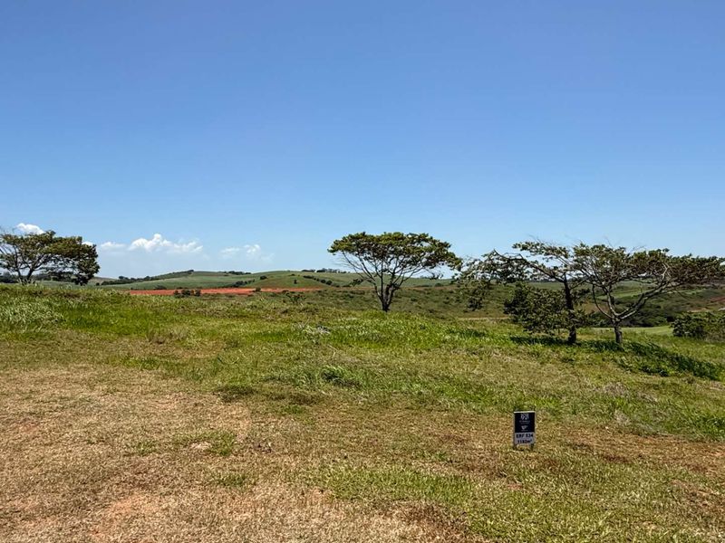 Ready... set... build your dream! - Photo 6