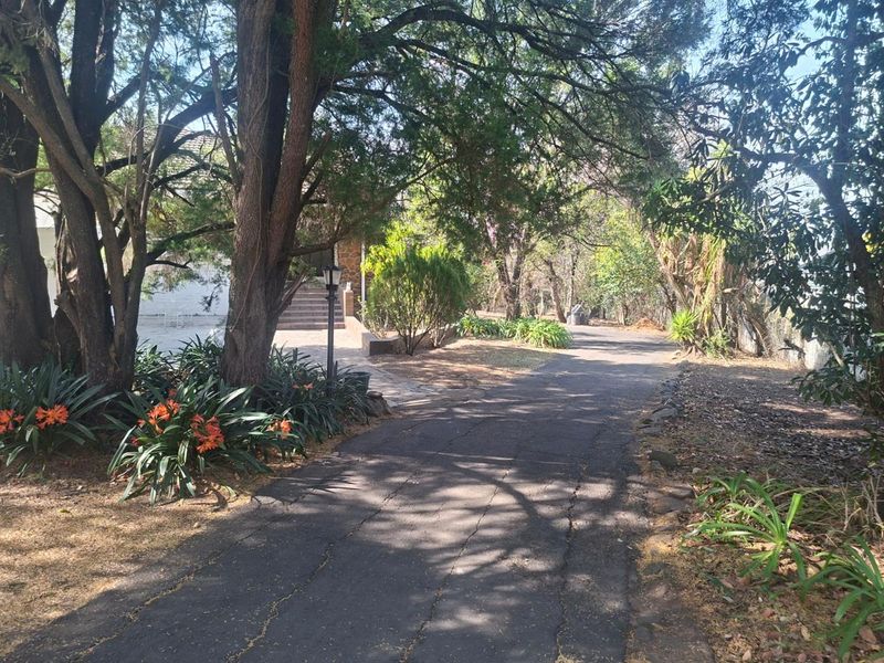 A tree-lined asphalt driveway leading to the front entrance of the property, featuring established garden beds and stone steps.