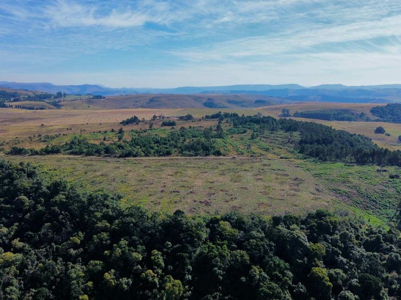 25-Hectare Vacant Land with Forest and Panoramic Views in the Midlands, Howick Rural - Photo 1