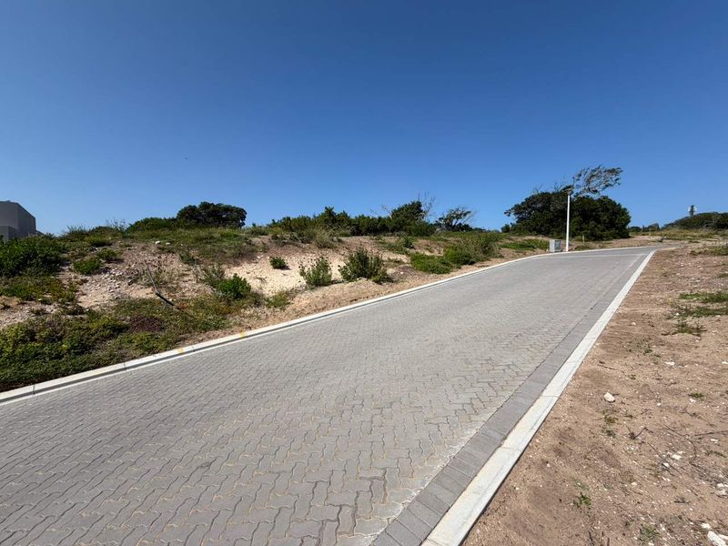 A view of a paved residential street with concrete curbing and street lighting, bordering a vacant plot of land.
