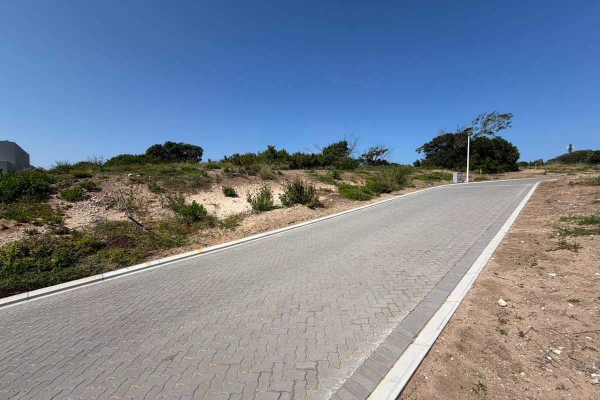 A view of a paved residential street with concrete curbing and street lighting, bordering a vacant plot of land.