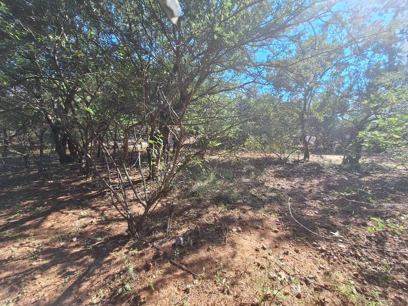 Escape to Leeupoort - Natures Sanctuary Near Pretoria - Photo 6