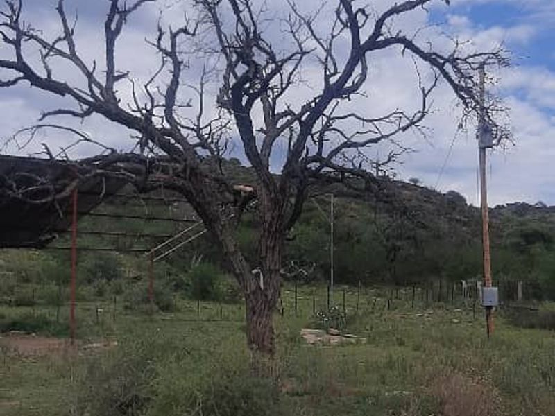 Agricultural Farm with Diverse Potential - Photo 7