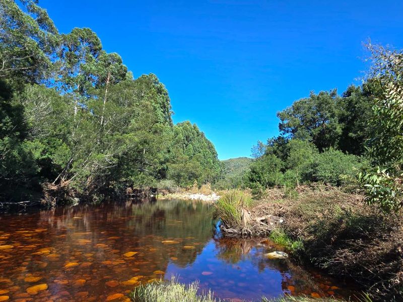 Spectacular Ruiterbos Farm with River Frontage & Panoramic Views - Photo 6