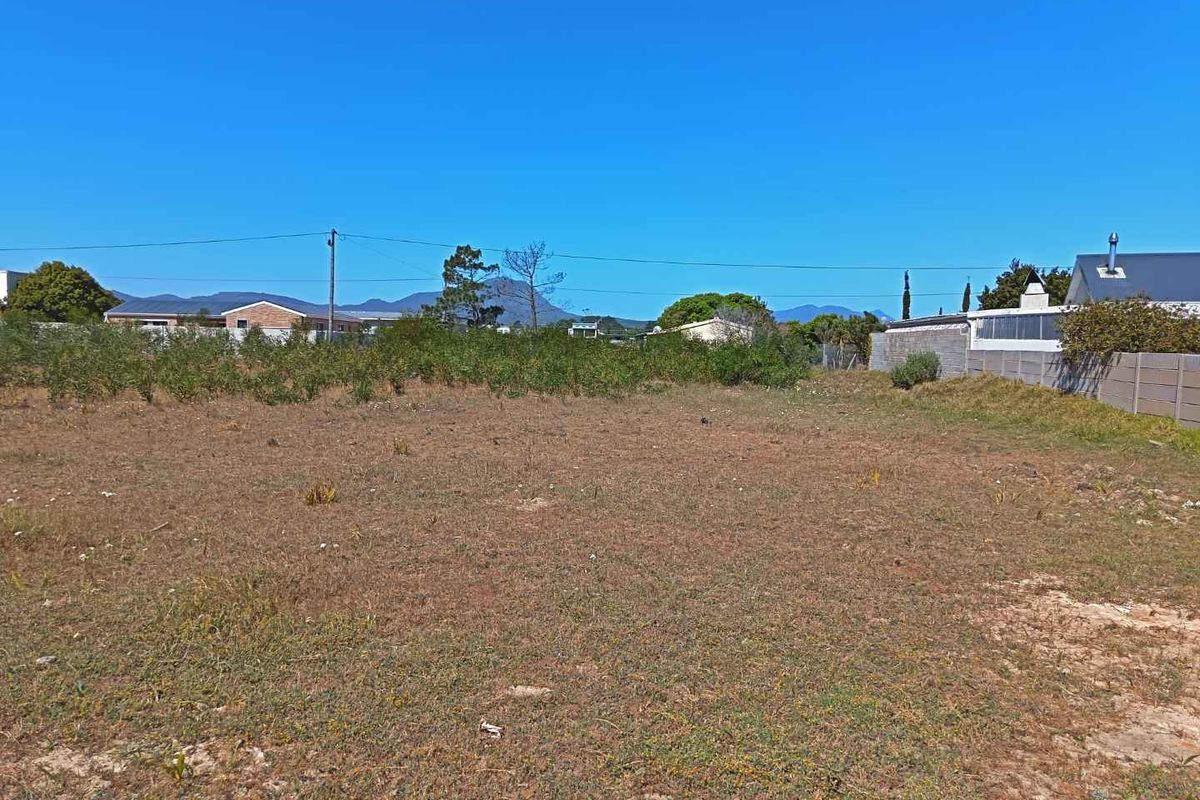 Great Property -Going for a Song - Photo 2