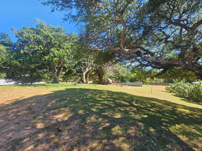 Build Your Tropical Masterpiece in St Lucia 🌿 - Photo 5