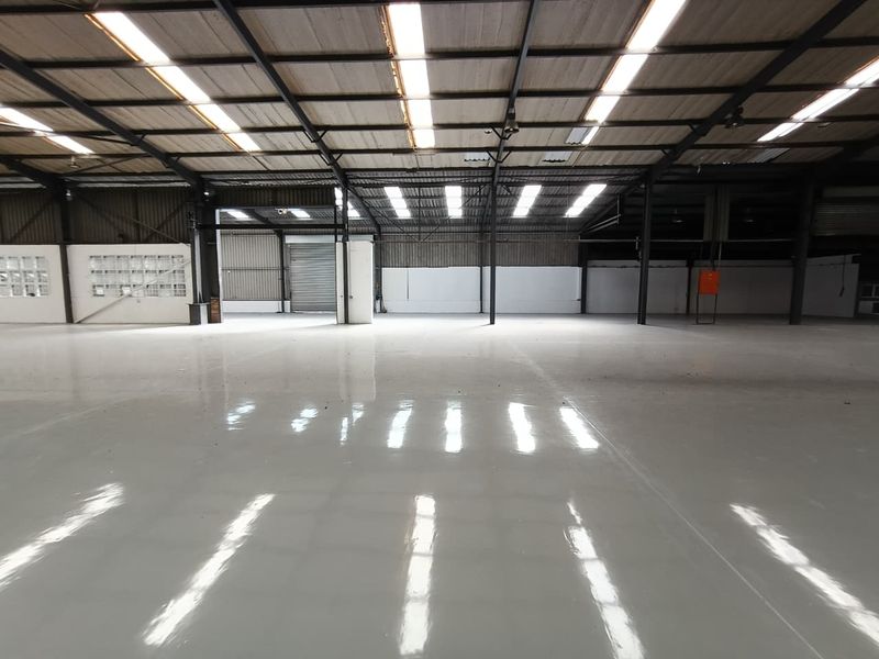 Spacious industrial warehouse featuring a polished epoxy floor, high steel portal frame ceiling with integrated skylights, and a large roller shutter door.