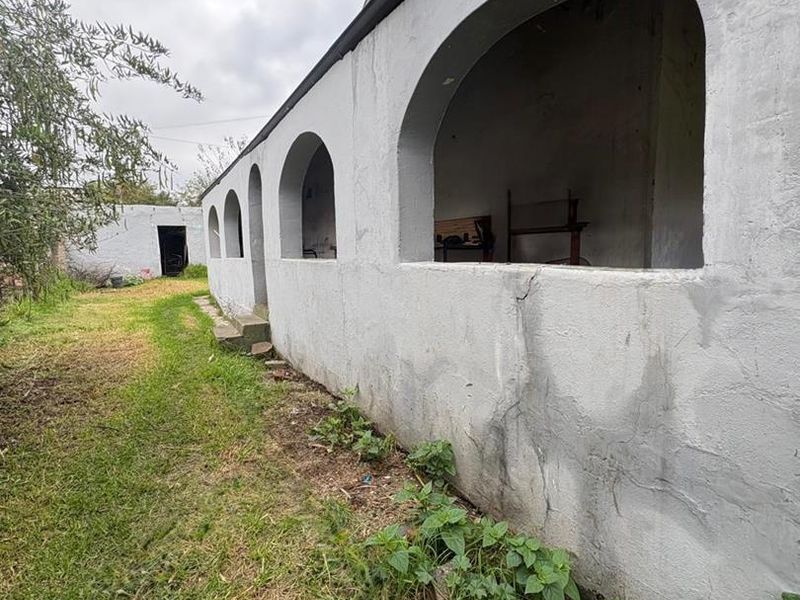 Solid 3-Bedroom Home on a Large Stand – Exceptional Opportunity- Business rights - Photo 4